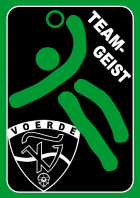 Teamgeist-Logo-klein